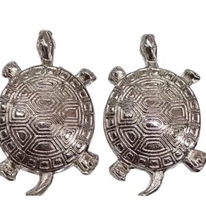Areta tortuga